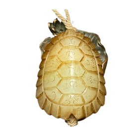Vintage Chinese Hetian Jade Carved Turtle Shell Pendant