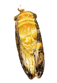 Exquisite Titanium Crystal Carved Fotune Cicada Pendant