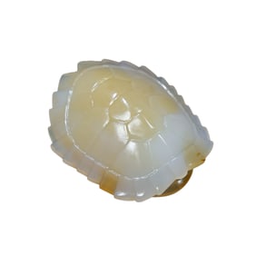 Chinese Agate Carved Turtle Shell Pendant