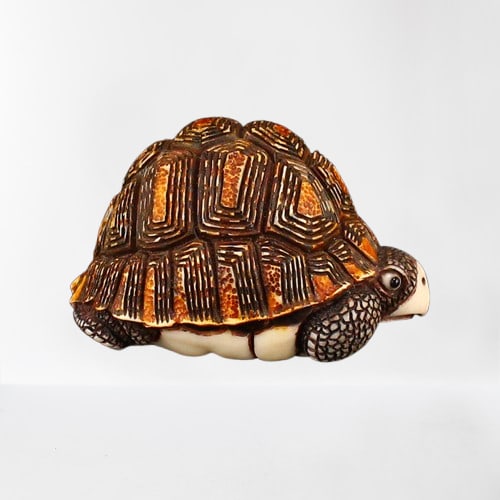 Vivid Bone Carved Long Life Turtle Statue (1 of 7)