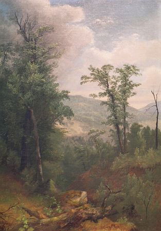 Asher Brown Durand 1796-1886 Forest Interior with: Asher Brown Durand 1796-1886 Forest Interior with Mountains Beyond, circa 1855 Oil on canvas laid to masonite 23 5/8 x 16 1/2 inches According to Professor David B. Lawall, this work by Durand "displa
