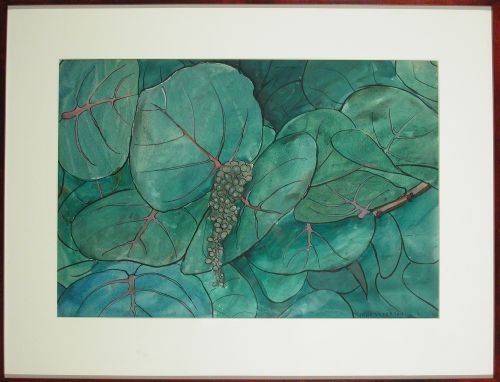 Jane Peterson American, 1876-1965 TROPICAL VEGETA: Jane Peterson American, 1876-1965 TROPICAL VEGETATION Signed Jane Peterson (lr) Watercolor over traces of pencil on board 15 1/8 x 21 7/8 inches See illustration back cover