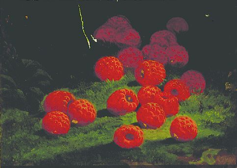 Attributed to William Mason Brown RASPBERRIES