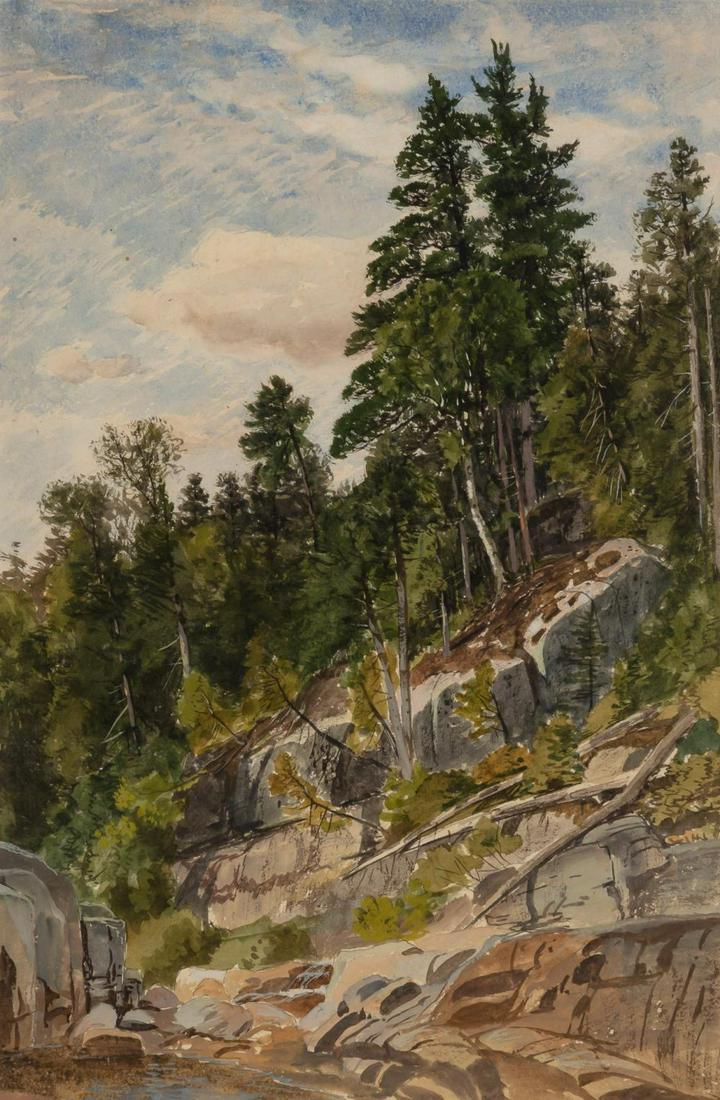 Samuel Colman American, 1832-1920 Study of Pines,: Samuel Colman American, 1832-1920 Study of Pines, Adirondacks Watercolor on paper 14 1/4 x 9 3/8 inches Provenance: Kennedy Galleries, Inc., New York C The Collection of Steven Schmidt