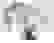item-104957824=6