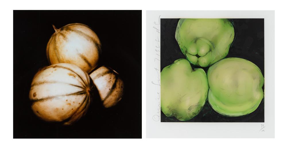 Donald Sultan MELONS; QUINCE Cibachrome laser print and (1 of 7)