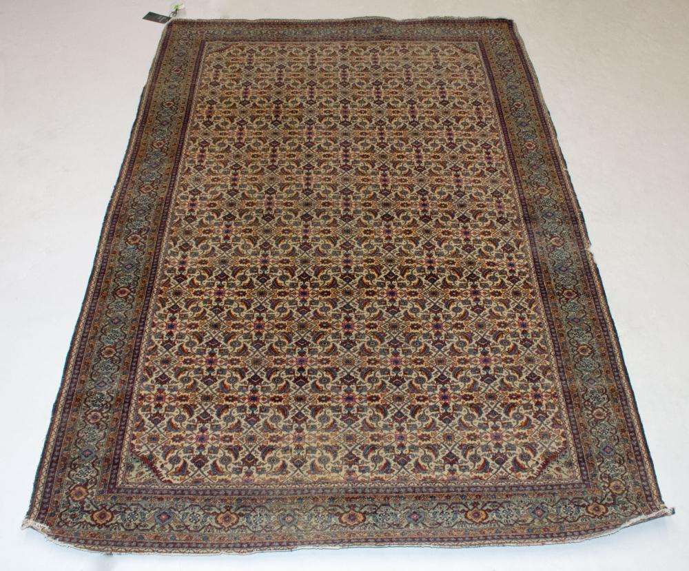 Tabriz Rug (1 of 2)
