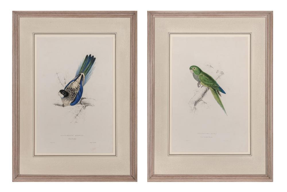 Edward Lear BROWN'S PARRAKEET; DWARF PARRAKEET MACCAW: Edward Lear (1812-1888) BROWN'S PARRAKEET; DWARF PARRAKEET MACCAW Two hand-colored lithographs, framed. Sight of sheets 20 3/4 x 13 1/2 inches; 527 x 343 mm. Frames 31 x 22 3/4 inches; 787 x 578 mm. C