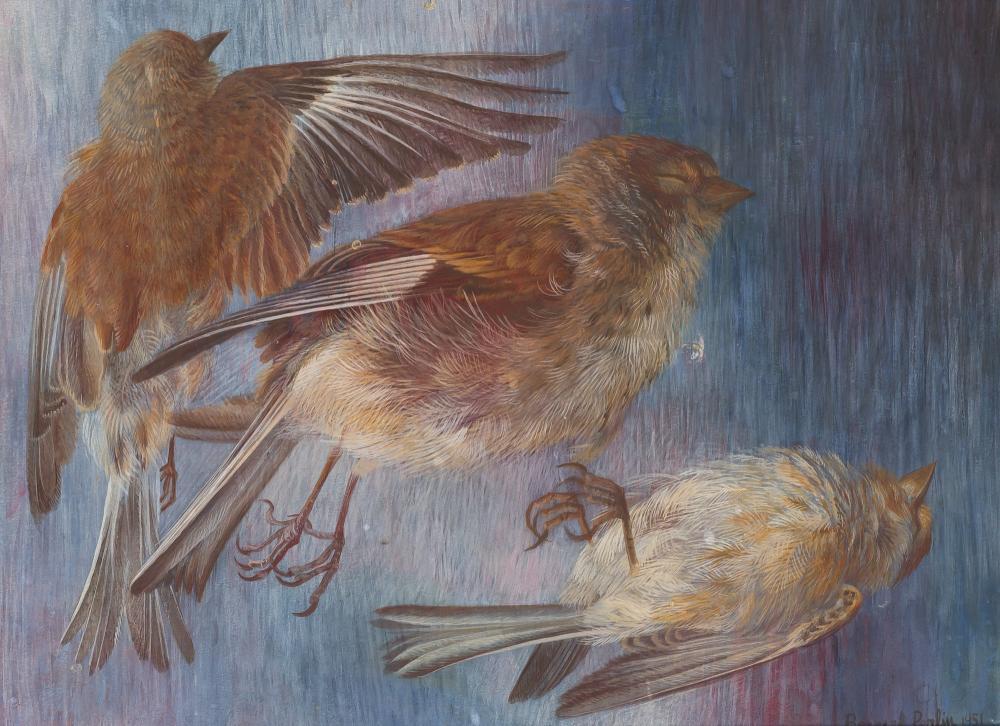 Bernard Perlin American, 1918-2014 Dead Sparrows, 1951 (1 of 3)