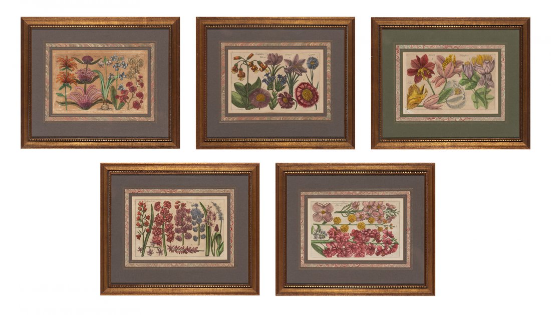 Filippo Arena [FLOWER STUDIES] Five hand-colored (1 of 6)