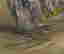 item-113638590=2