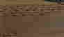 item-113638603=2