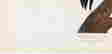 item-115037500=4
