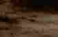 item-115037518=2