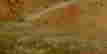 item-115037528=2