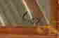 item-117519249=2