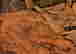 item-117519264=2