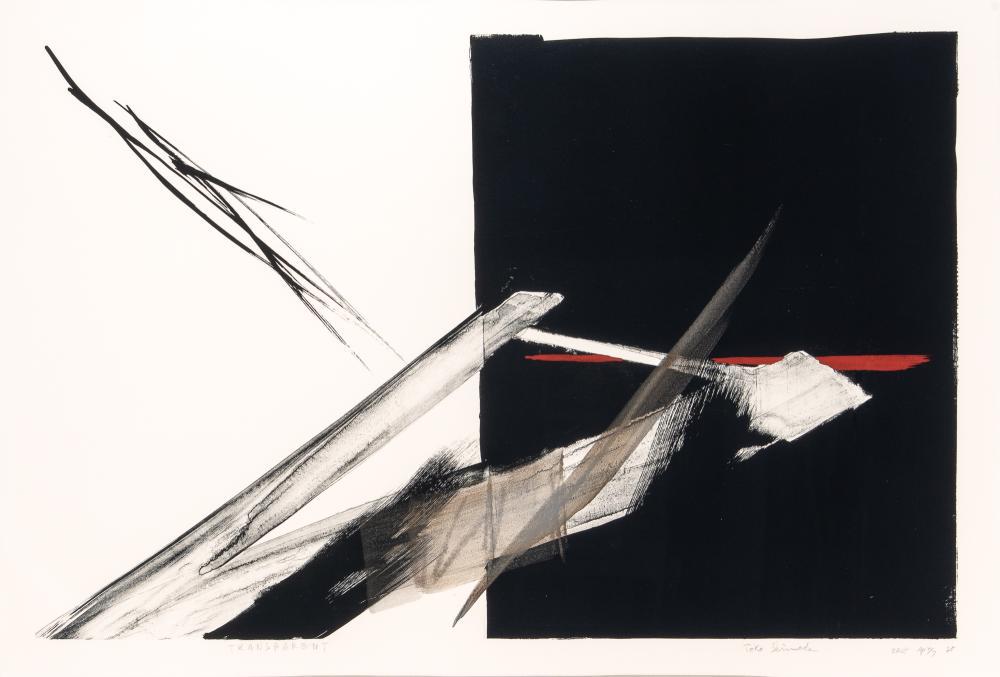 Toko Shinoda TRANSPARENT Hand-colored lithograph (1 of 4)