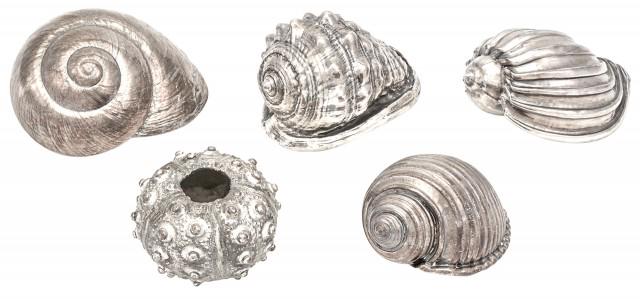Five Silver Coated Seashells: Five Silver Coated Seashells 20th Century Apparently unmarked. Width of largest 4 inches. C Property from the Estate of Frances Brunel LaGatta Shelton