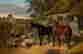 item-121073506=2