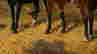 item-121073506=3