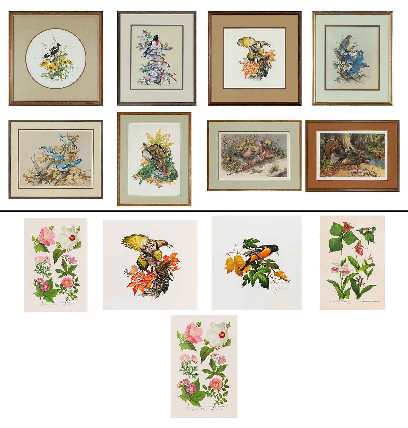 Roger Tory Peterson [BIRDS AND FLOWERS] Thirteen color (1 of 16)