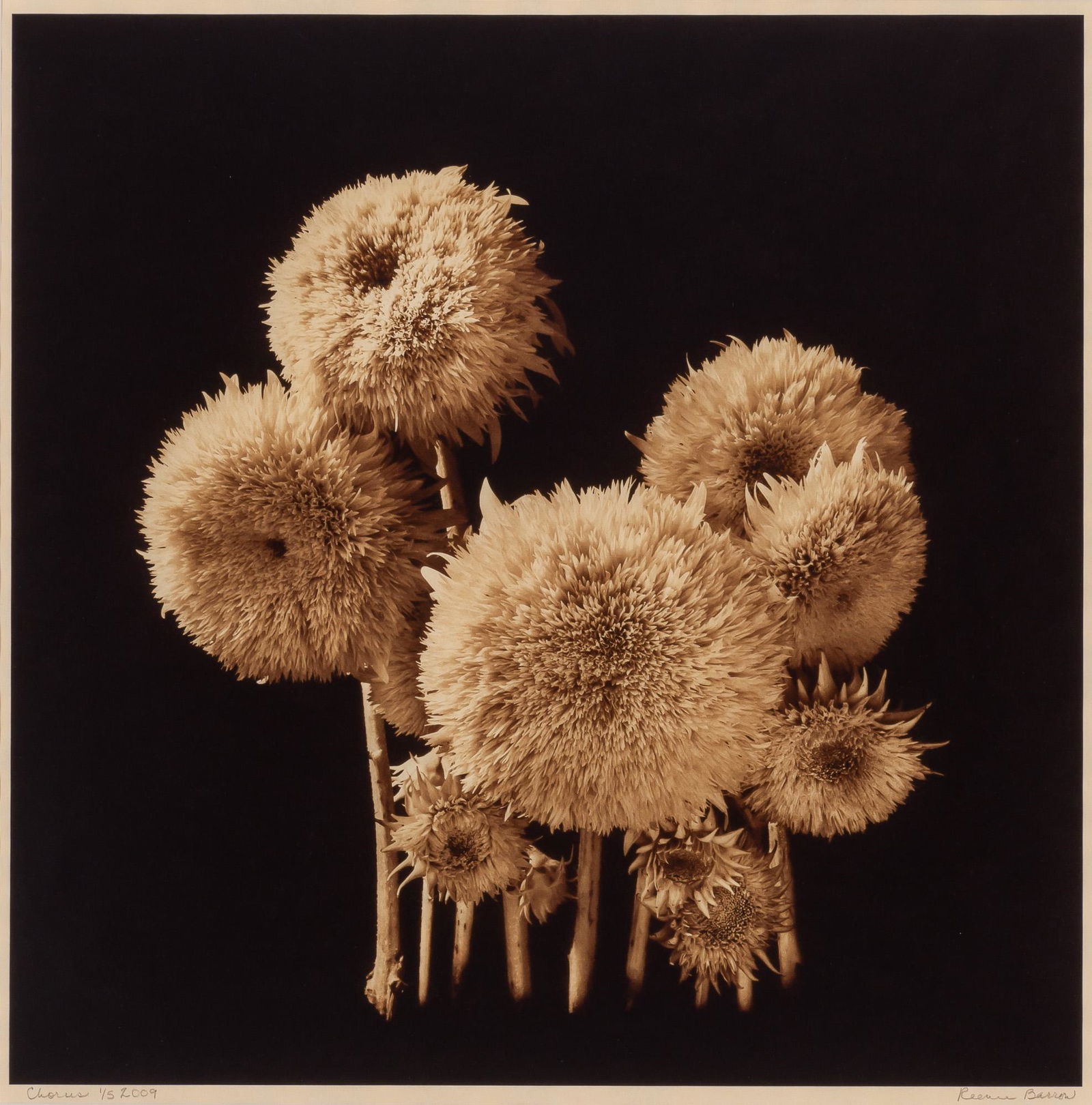 BARROW, REENIE (b. 1944) Three photographs. (1 of 9)