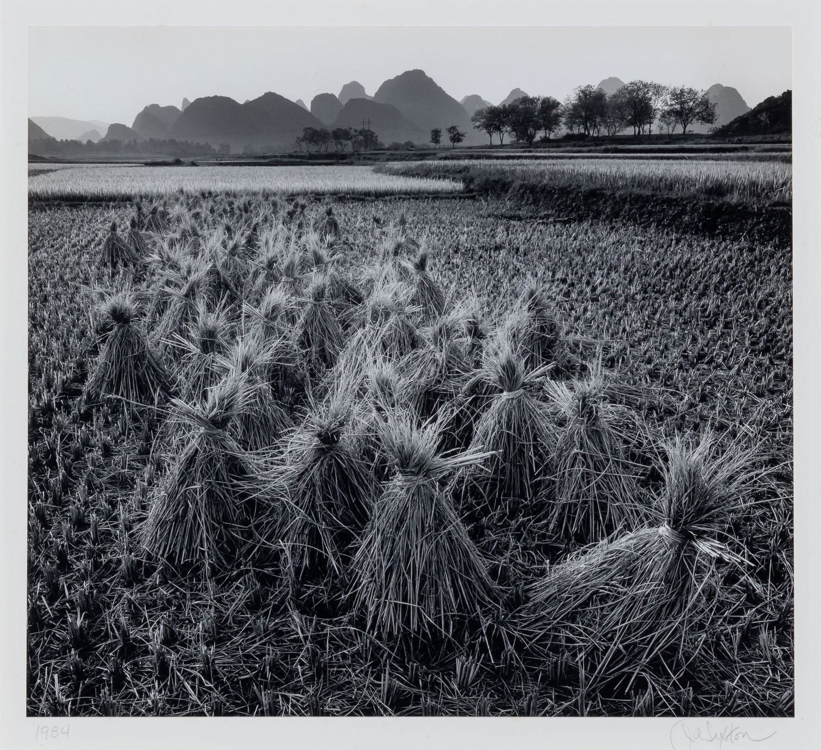 SEXTON, JOHN (b. 1953) Rice Fields, Dusk, Near Guilin, China 1984.: SEXTON, JOHN (b. 1953) Rice Fields, Dusk, Near Guilin, China 1984. Gelatin silver print, likely printed 1980s, 10 1/8 x 11 1/4 inches (257 x 290 mm), dry-mounted, signed and dated in pencil below prin