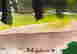 item-131053630=2