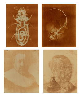 Agnes Denes BESS BEETLE; STINGRAY; VAN GOGH; REMBRANDT Four x-ray monoprints, framed: Agnes Denes (b. 1938) BESS BEETLE; STINGRAY; VAN GOGH; REMBRANDT Four x-ray monoprints, 1973, the first two from the Kingdom Series, the third and fourth from the Introspection III: Aesthetics, the