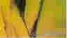 item-131751342=2