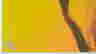 item-131751342=3