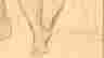 item-134264473=2
