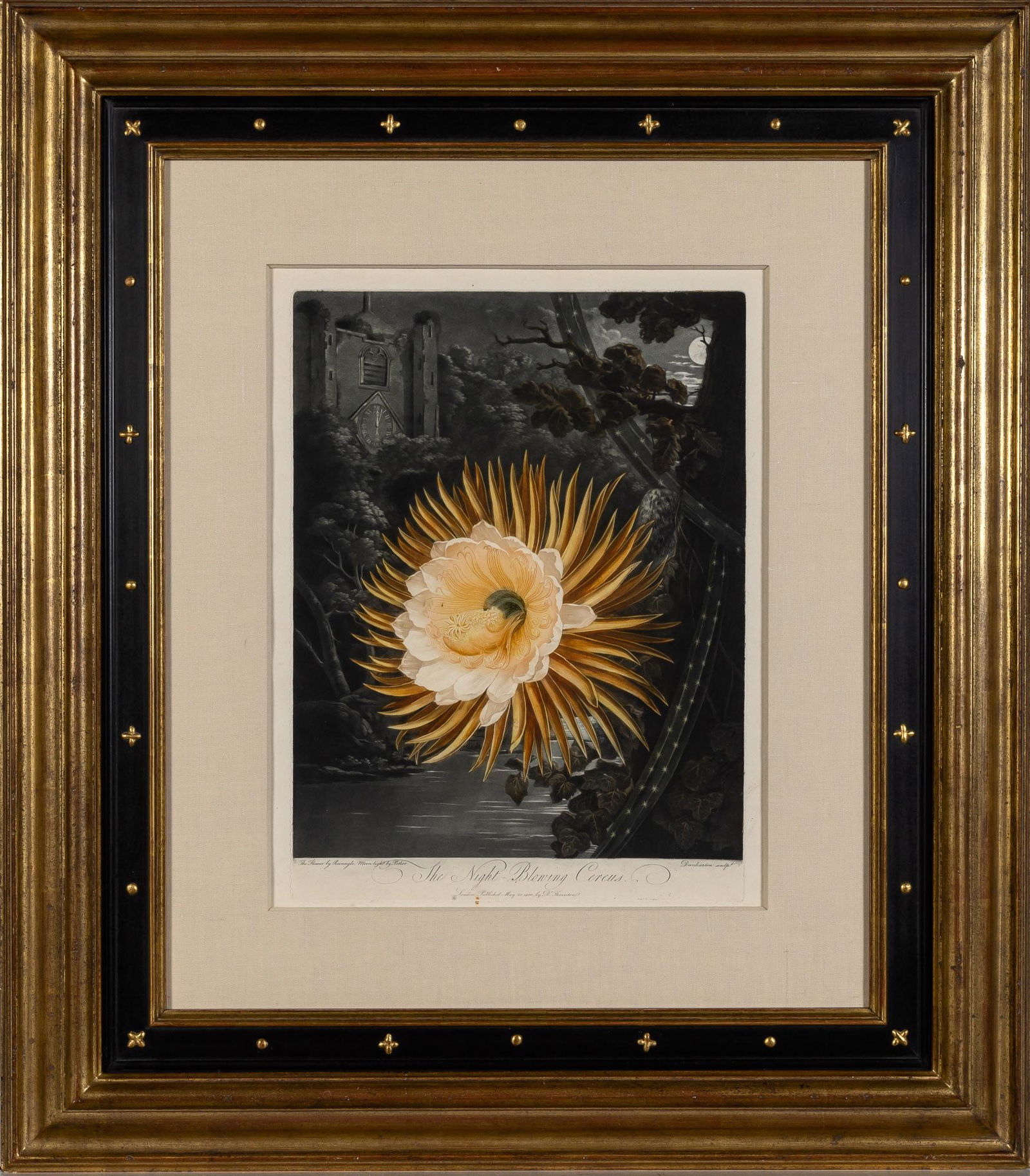 Dr. Robert Thornton, publisher THE NIGHT-BLOWING CEREUS Hand-colored color mezzotint, from The (1 of 2)