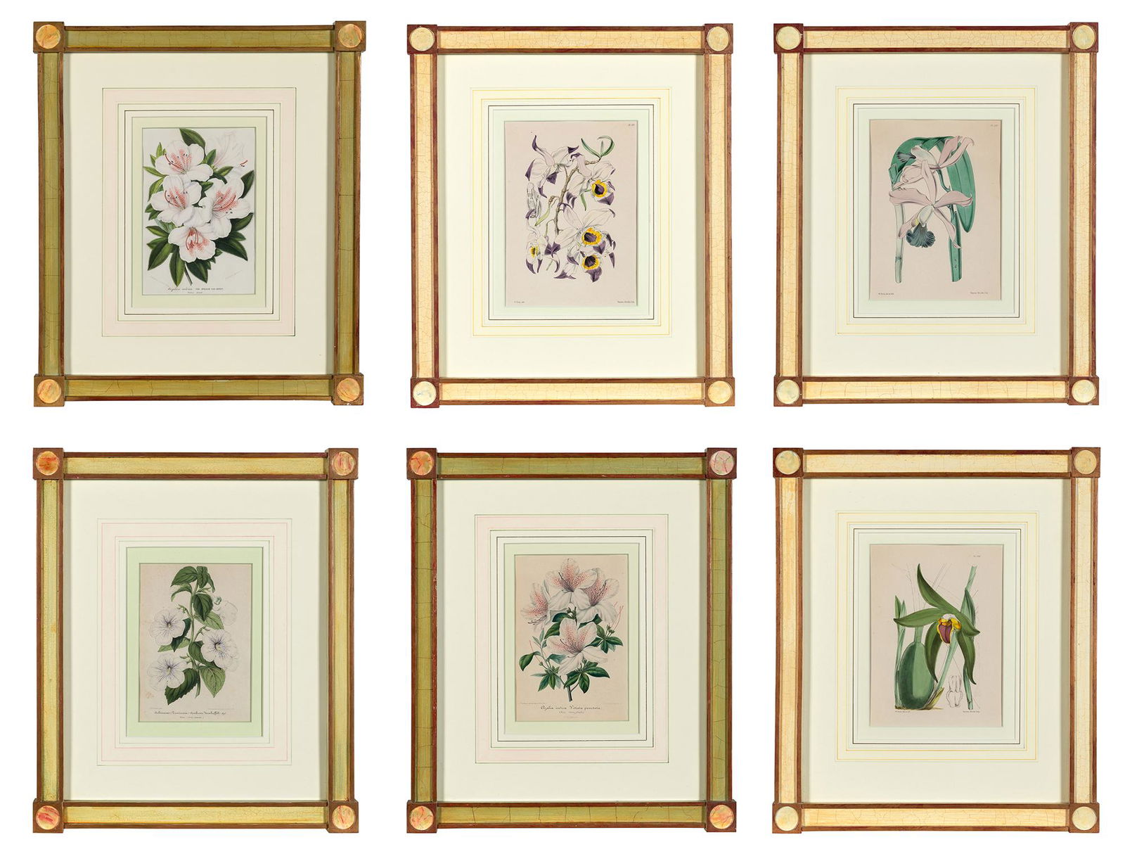 Various Artists [FLORAL STUDIES] Six chromolithographs, framed (1 of 7)