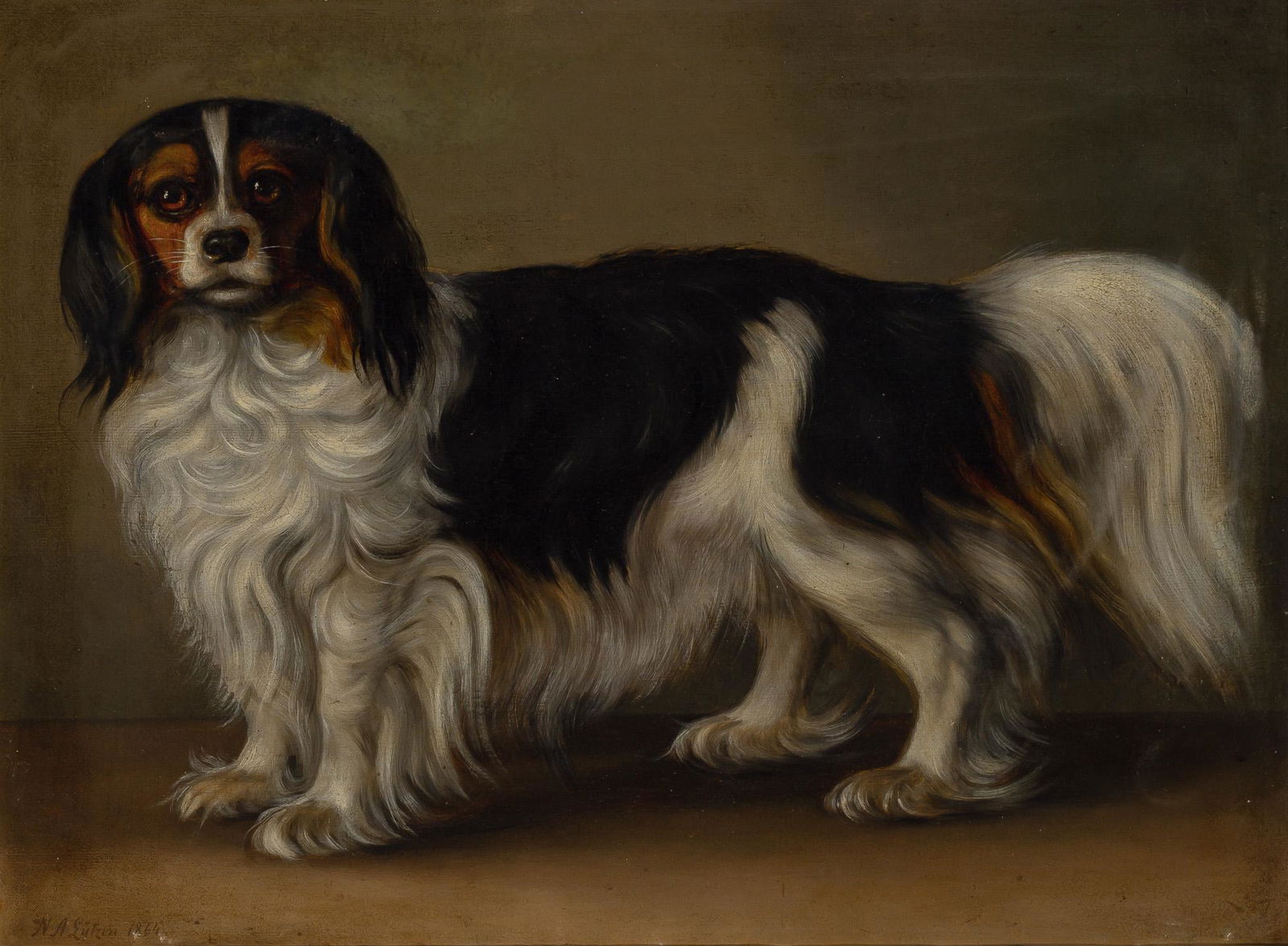 Niels Aagaard Lytzen Danish, 1826-1890 Portrait of a King Charles Spaniel, 1864 (1 of 4)