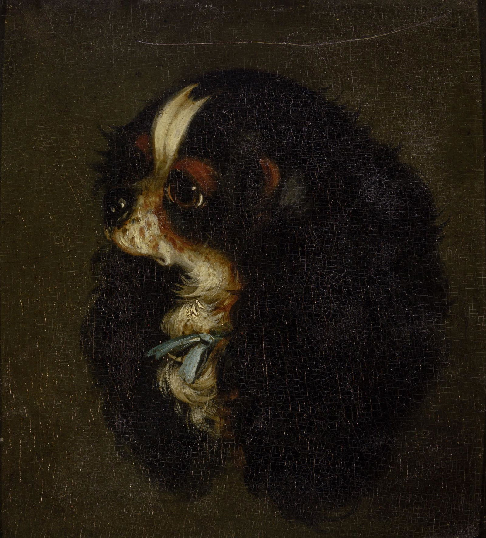 British School 19th/20th Century Portrait of a King Charles Spaniel (1 of 3)
