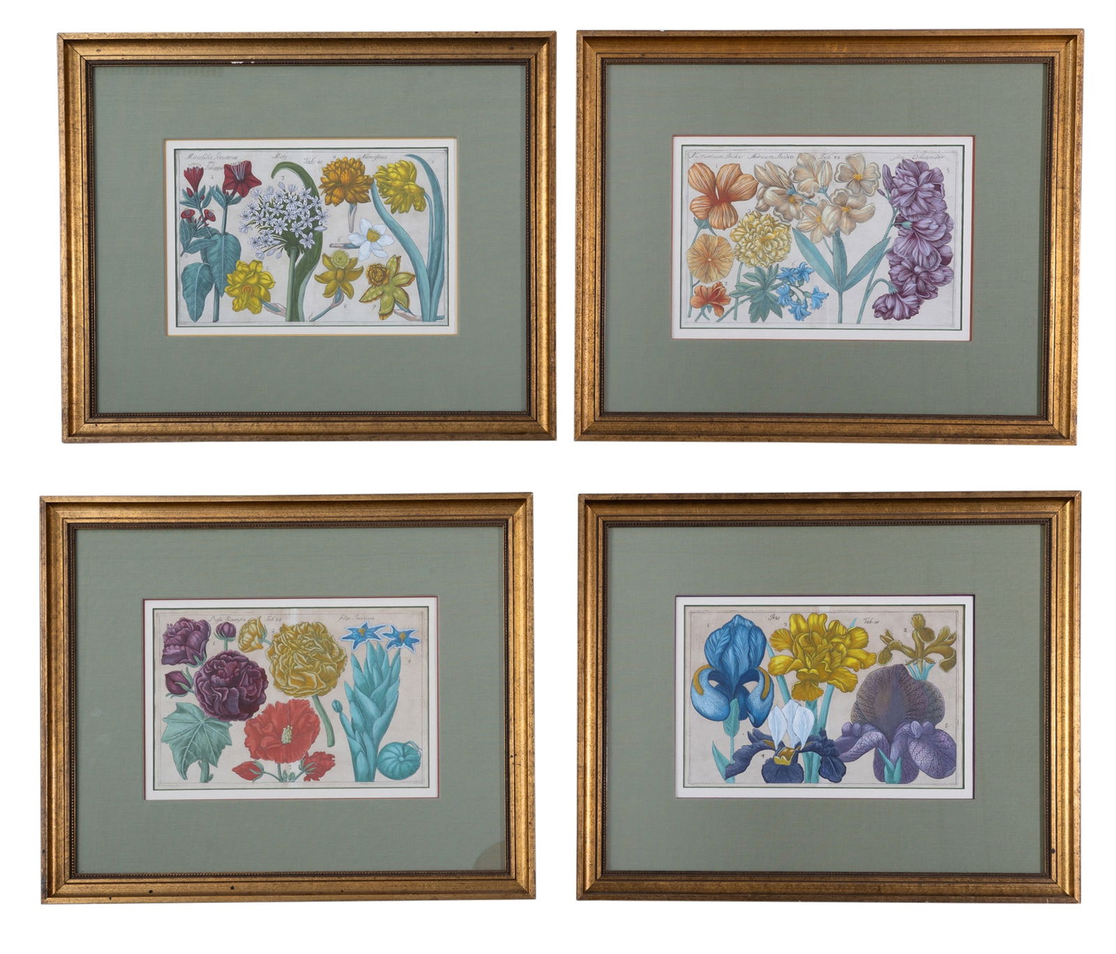 Filippo Arena (1708-1789) after Mario Cammerari (1 of 3)