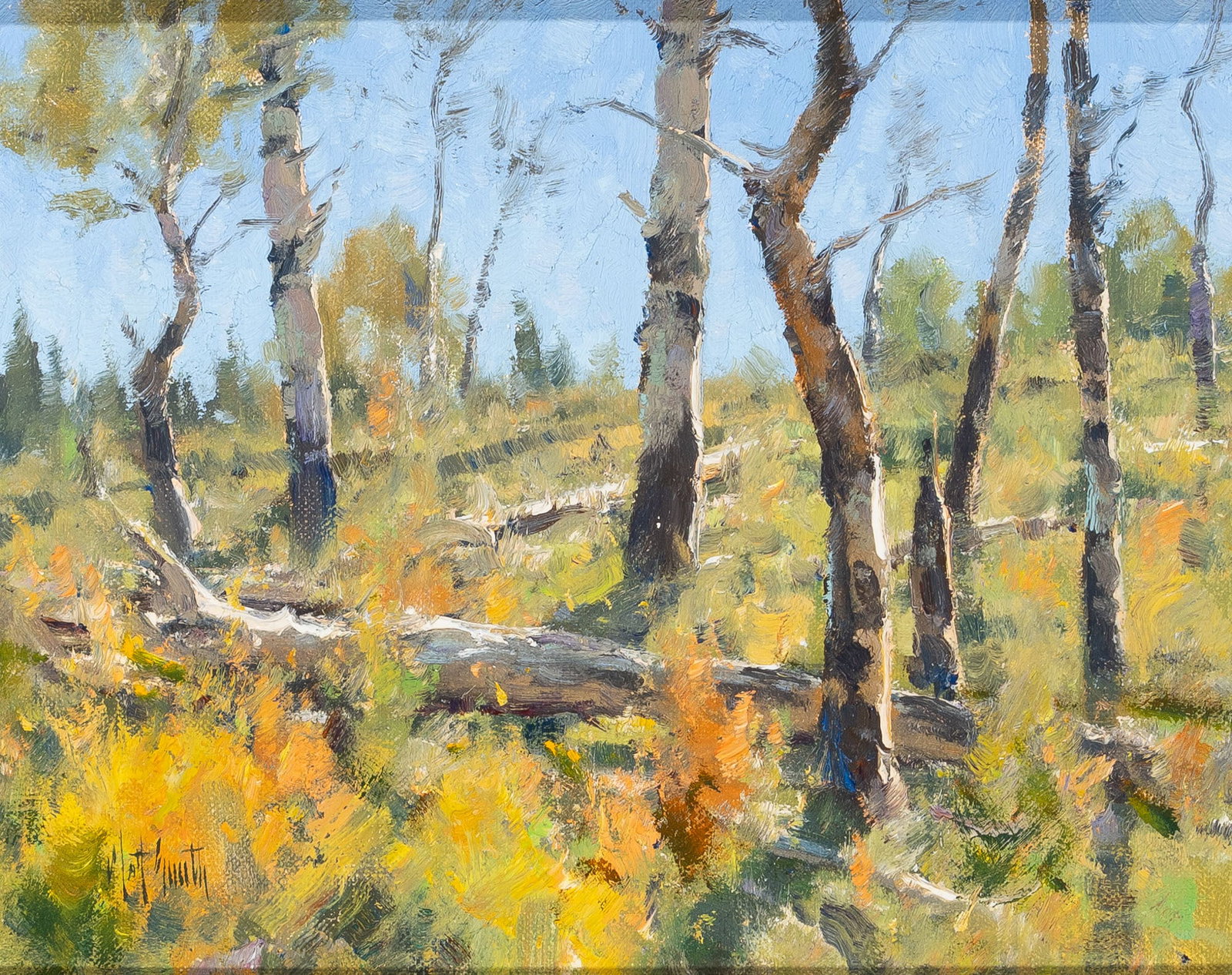 Matthew Read Smith: Estate / Collection: The Collection of the Direct Descendants of Gertrude Vanderbilt Whitney American, b. 1960 Autumn Aspens, 2007 Signed Matt Smith (ll); signed Matt Smith ©, dated and inscribed