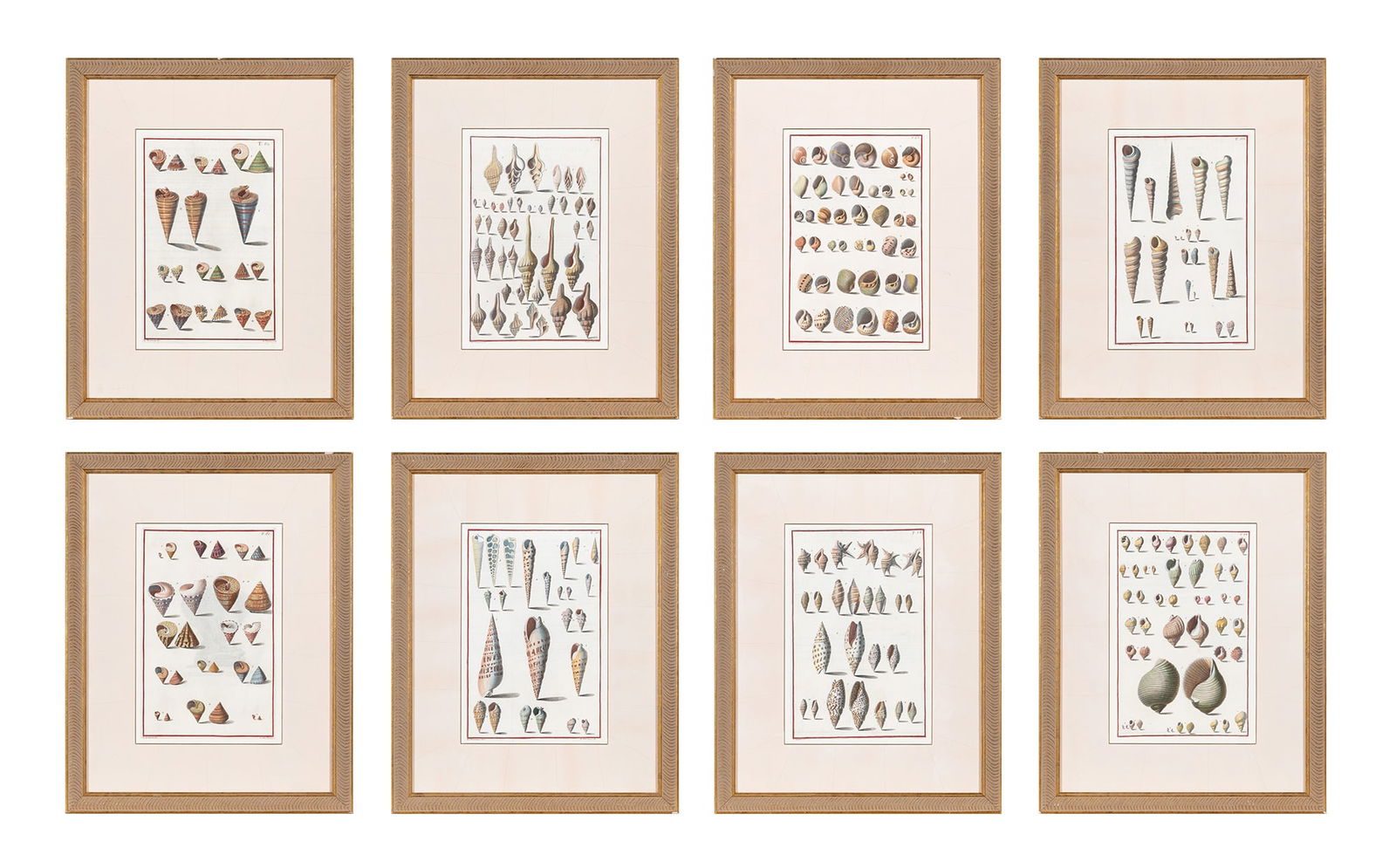 After Giuseppe Menabuoni (1708-1745) (1 of 9)