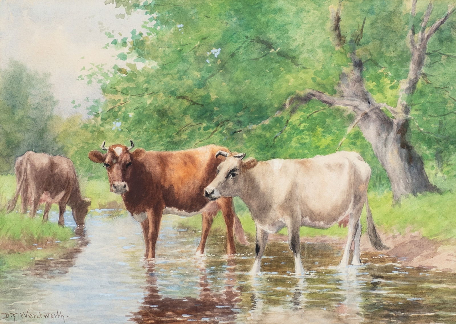 Daniel F. Wentworth (1 of 3)