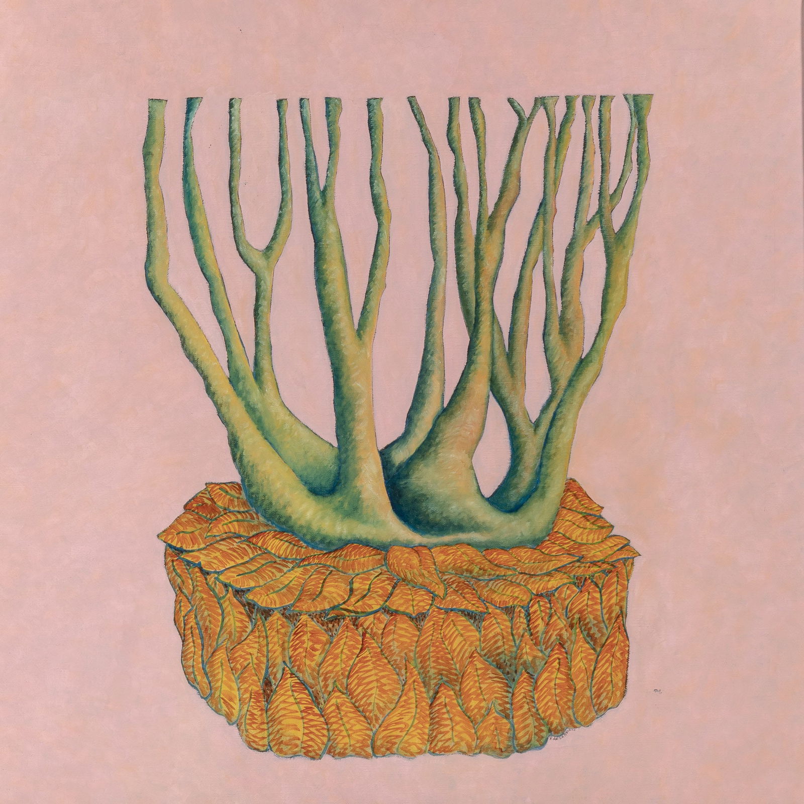 Frances de la Rosa (1 of 2)