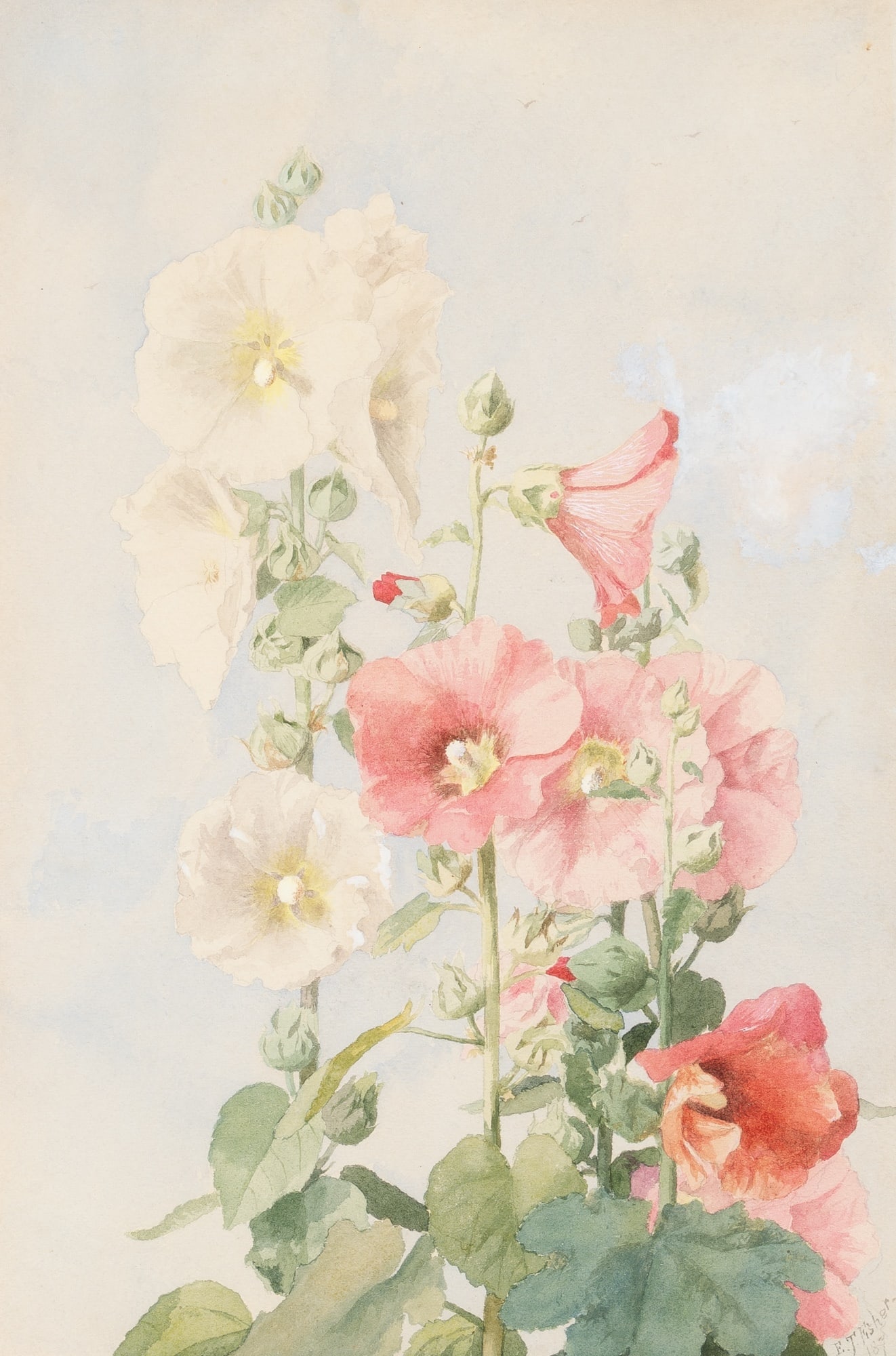 Ellen Bowditch Thayer Fisher (1 of 4)