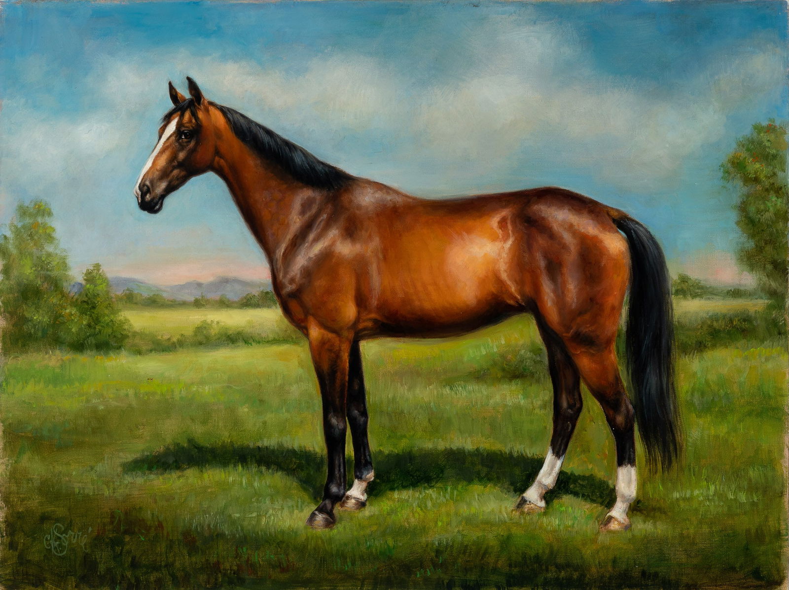 Charlotte Sorre (1 of 3)