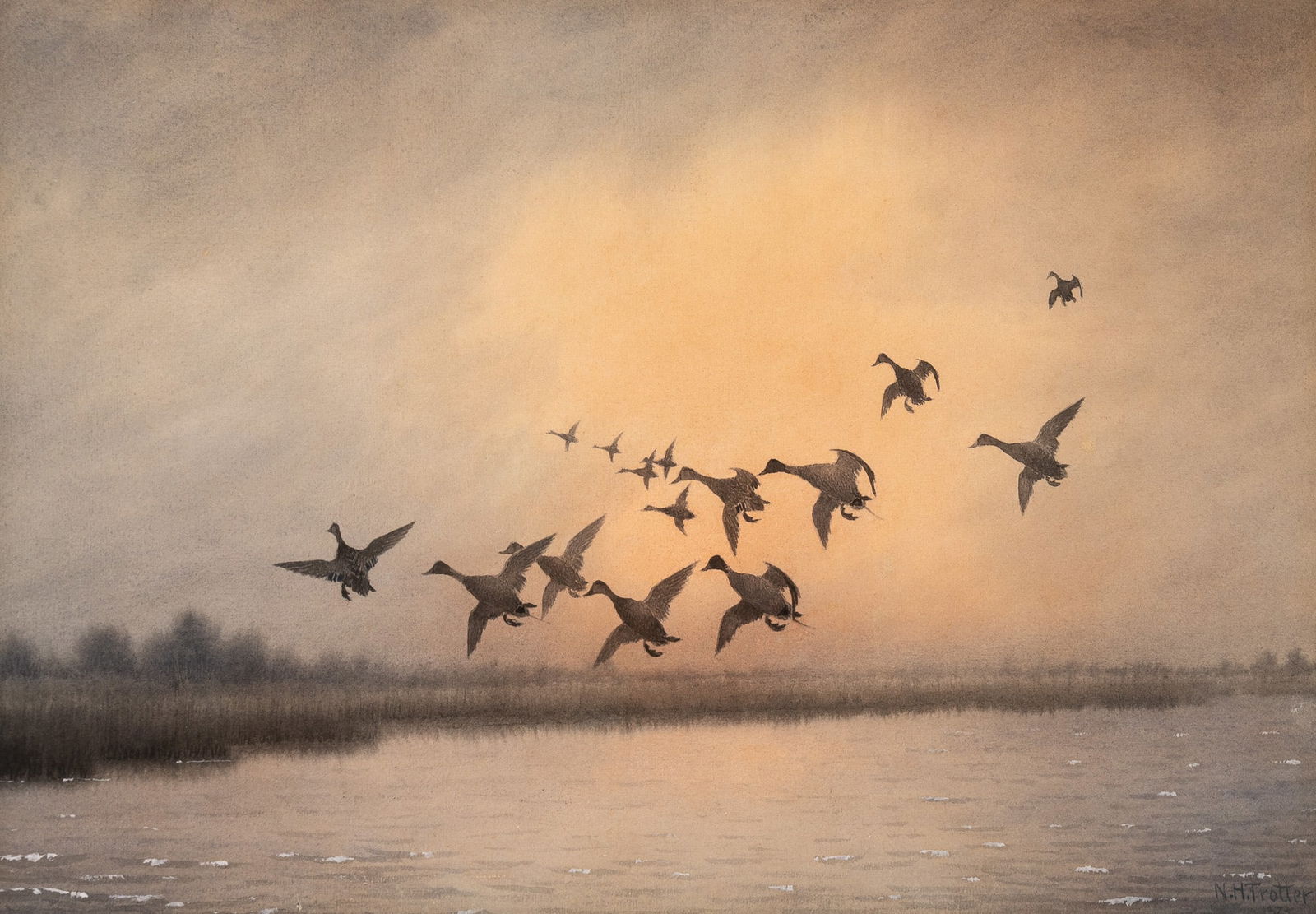 Newbold Hough Trotter (1 of 4)