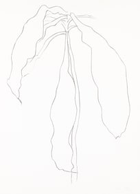 Ellsworth Kelly (1923-2015)