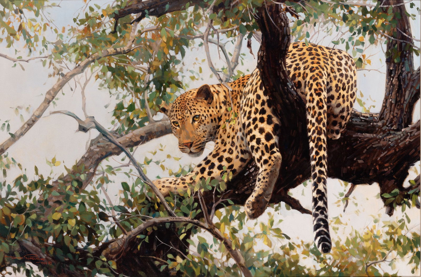 Dino Paravano (1 of 4)