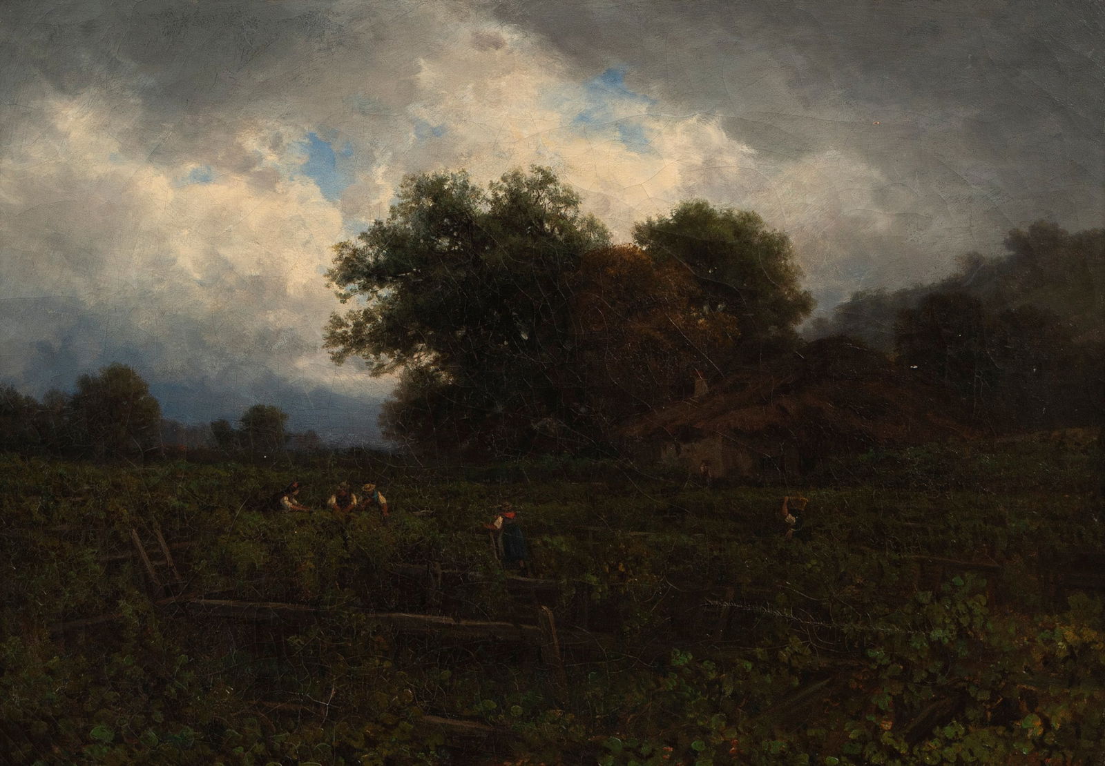 Jean-Philippe George-Julliard (1 of 4)