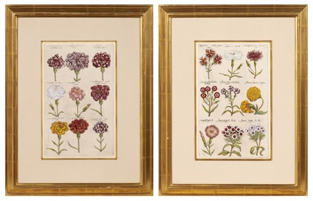 Emanuel Sweert (1552-1612)