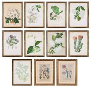 John Lindley (1799-1865) and Joseph Paxton (1803-1865)